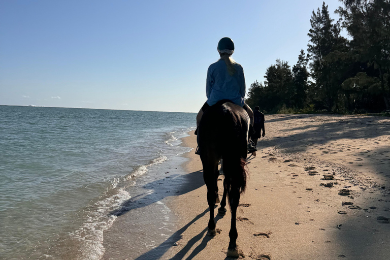 Descubriendo el sur. Paseos a caballo por la playa, excursiones a cascadas.