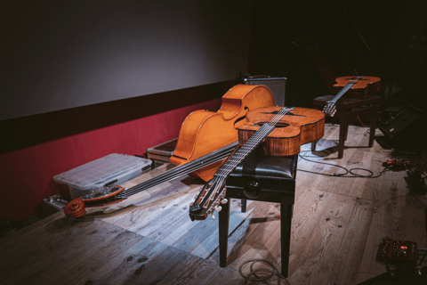 Venice: Live Concert with Dinner or Aperitif at LL JAZZ Club Delicious Dinner with Live at Top Northern Italy Jazz Club