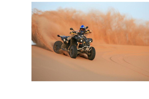 Qatar: ATV &amp; Quad Dune Bashing, Camel Ride, &amp; Sandboarding