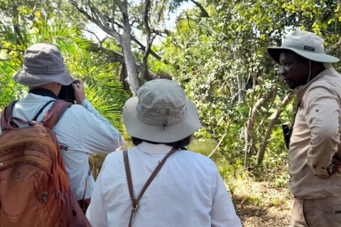 Victoriafälle: Private Vogelbeobachtungstour in der Nähe der Stadt