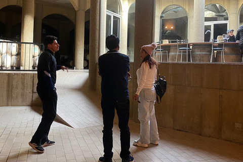 Viña Haras de Pirque Wine Experience