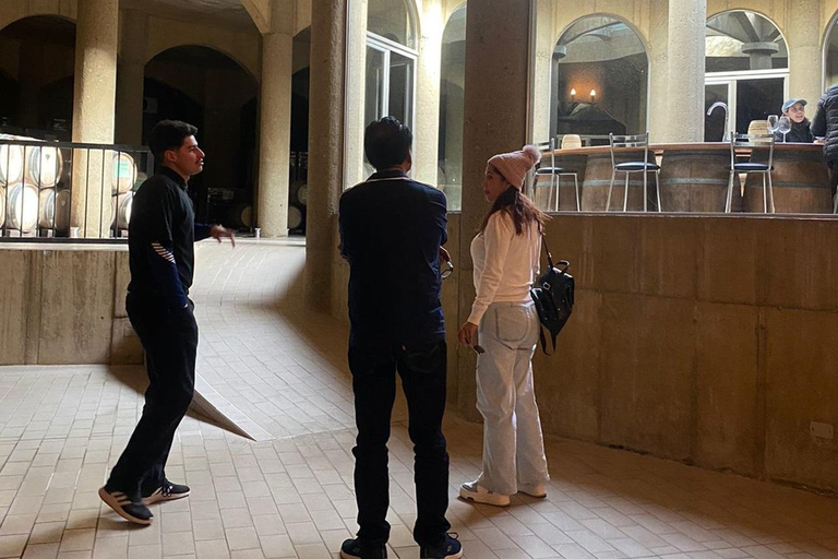 Viña Haras de Pirque Wine Experience