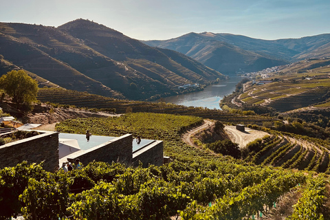 From Porto: 2 Boutique Wineries w/ Winery Lunch & 1-h cruise Tour in English