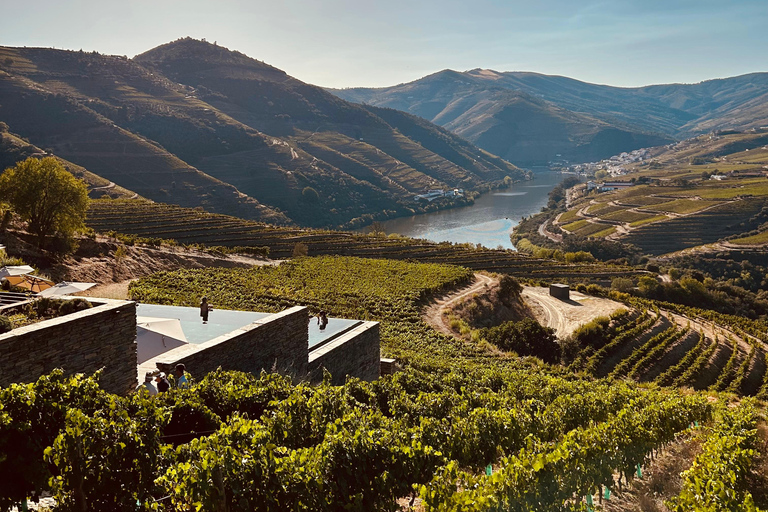 From Porto: 2 Boutique Wineries w/ Winery Lunch & 1-h cruise Tour in English