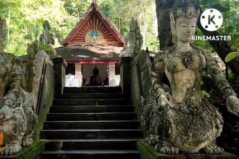 Monks chanting, Wat Doi Suthep, Wat Phalad and Meditation - Image 2