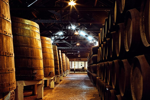 Porto: City Tour with Lello Bookshop and Wine Cellar Visit