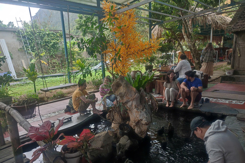 Catba: Lan Ha Bay Full day/ Sunset Cruises - all included Lan Ha Bay Sunset: Deluxe Local Cruise