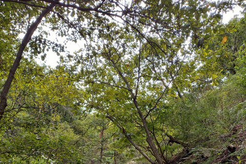 Excursión a pie por la montaña Bukhansan - 6 horas