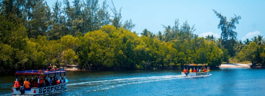 Watamu : Visite du parc marin avec plongée en apnée et repérage des dauphins