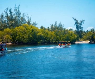 Watamu: Marine Park Snorkeling and Dolphin Spotting Tour