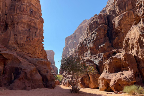 Wadi Rum: Adventure Tour with Photographer and Sunset Point