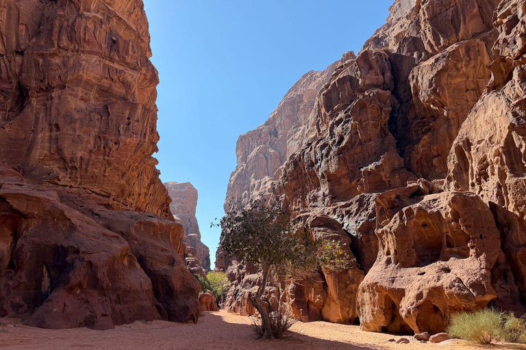 Wadi Rum: Adventure Tour with Photographer and Sunset Point