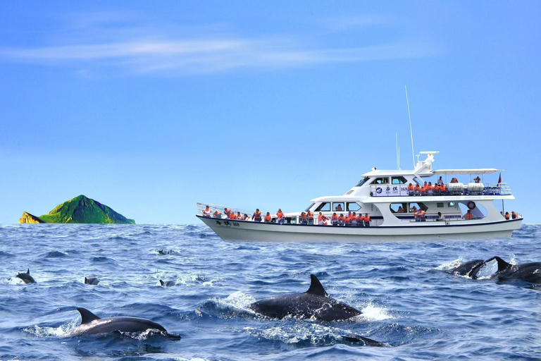 From Taipei to Yilan:Dolphins, Waves, and Whispering Trees 10-hour journey {four-seater business car}