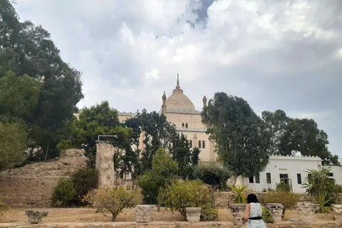Carthage and Sidi Bou Said Tour