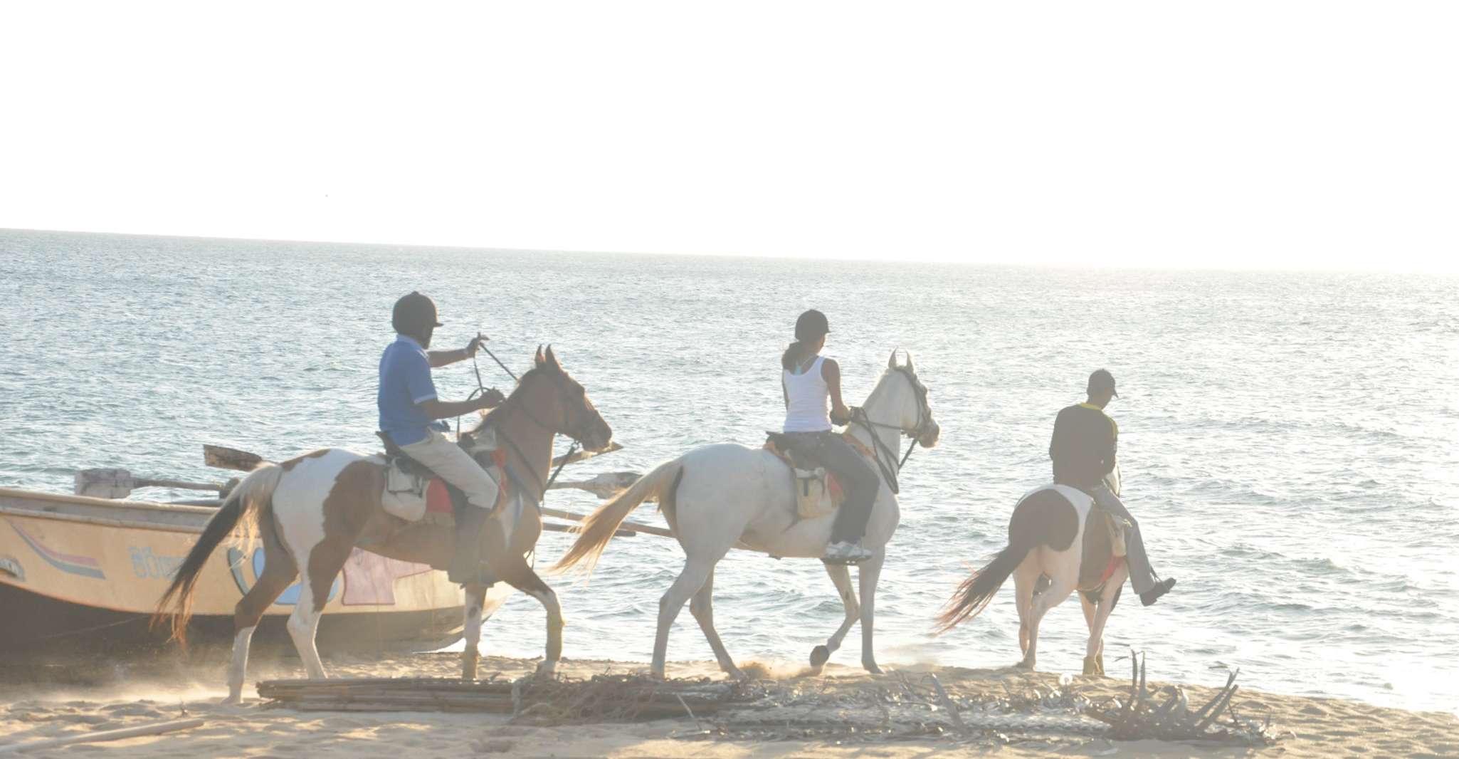 Half-Day Horse Riding in Kalpitiya - Housity