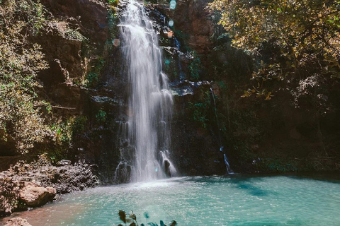 Nairobi: Caminhada pela Floresta Ngare Ndare e Canopy WalkNairobi: Caminhada pela Floresta Ngare Ndare e Passeio pela Copas das Árvores
