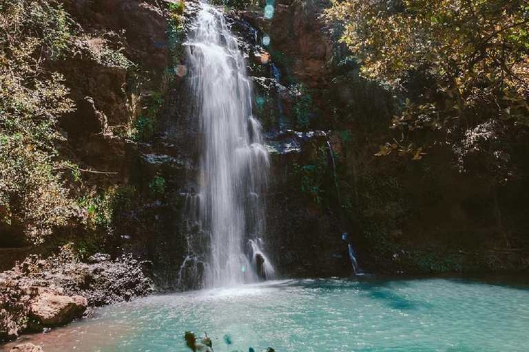 Nairobi: Caminhada pela Floresta Ngare Ndare e Canopy WalkNairobi: Caminhada pela Floresta Ngare Ndare e Passeio pela Copas das Árvores