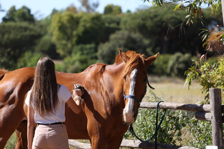 Horse Sanctuary in Rome Elevating the Ride: Summer in the Simbruini Mountains