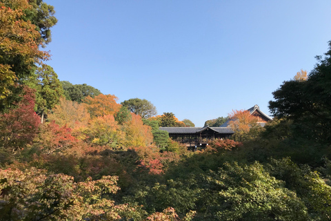 Kyoto Guided Walking Tour: Secret Zen Garden & Fushimi Inari