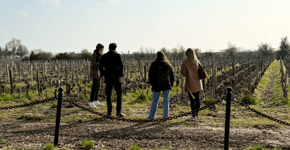 Bordeaux: Ganztagestour durch die Weinregion Médoc