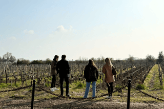 Bordeaux: Médoc Wine Region Full-Day Tour