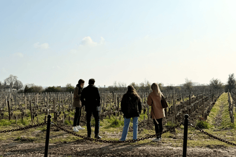 Bordeaux: całodniowa wycieczka po regionie winiarskim Médoc