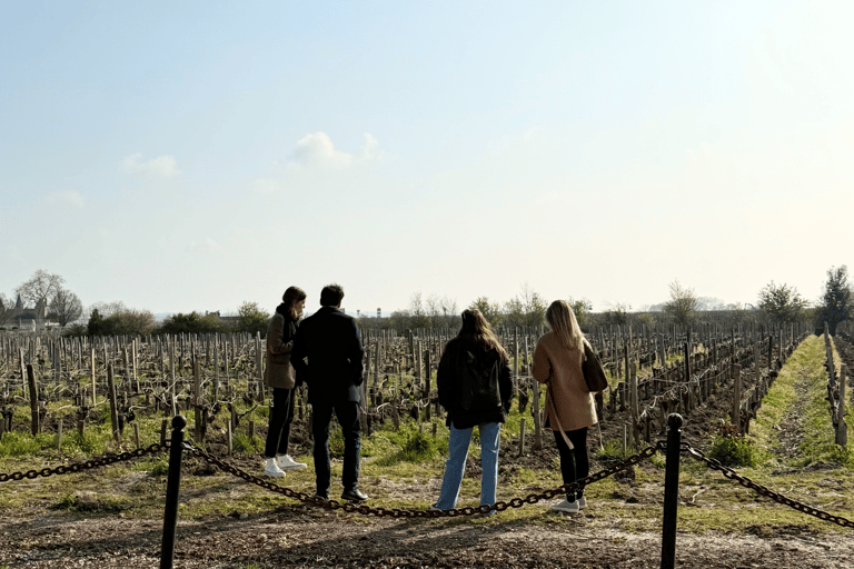 Bordeaux : visite d&#039;une jounée dans la région viticole du Médoc