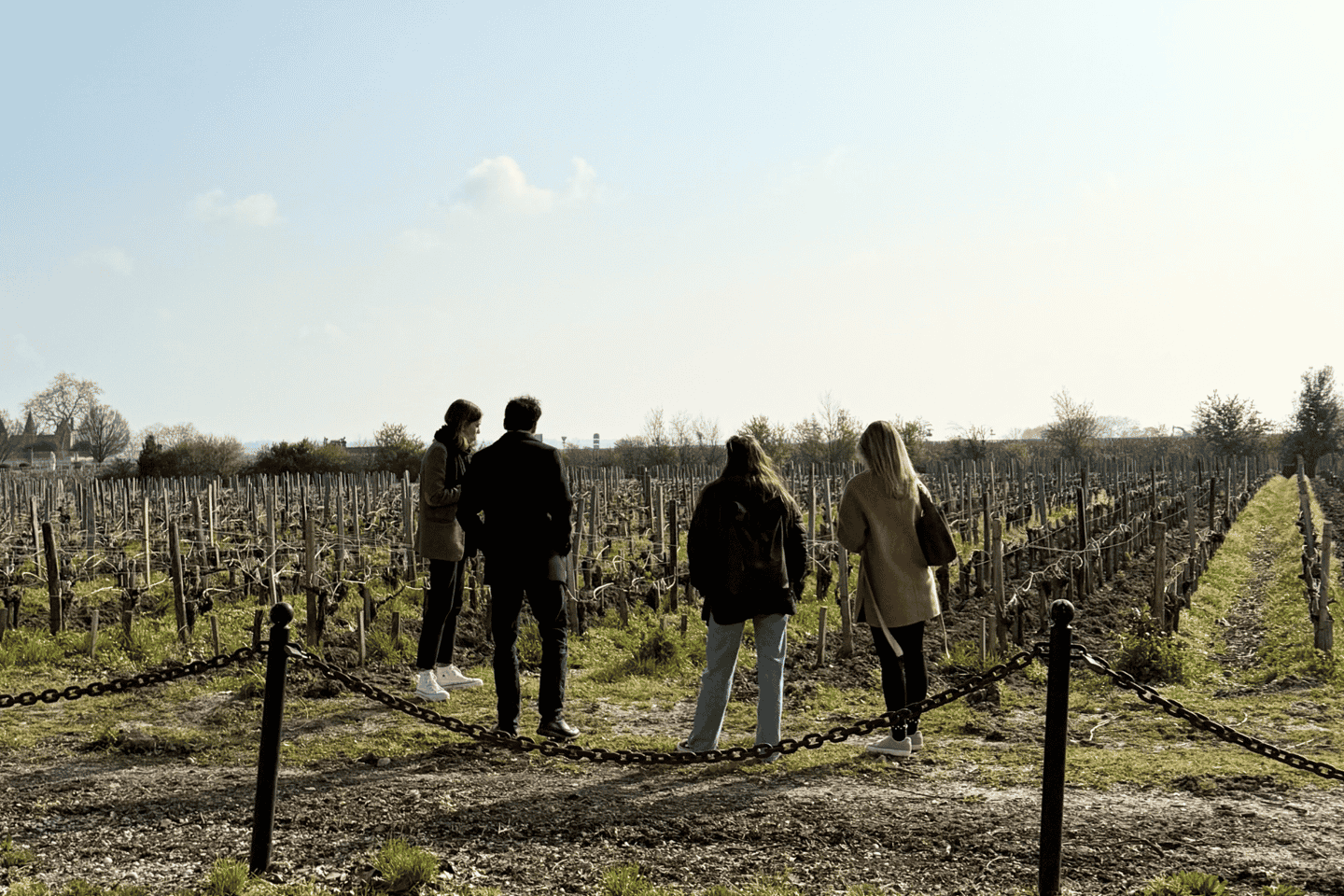 Bordeaux: Mdoc Wine Region Full-Day Tour - Bordeaux: Médoc Wine Region Full-Day Tour