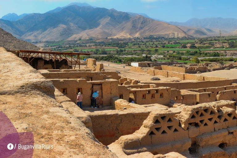 From the Cruise: Paracas & Tambo Colorado Tour Paracas National Reserve & Tambo Colorado Tour from Arequipa