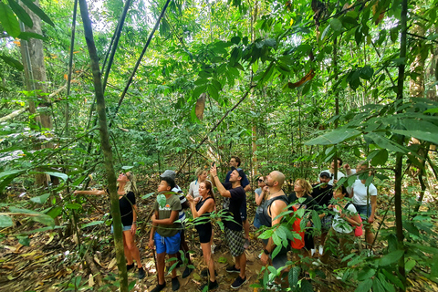 Au départ de Krabi : excursion d&#039;une journée au lac Khao Sok