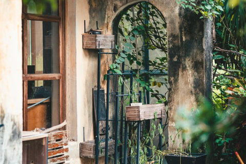 Sanya: Nanshan Scenic Area & Yazhou Ancient City Tour Guide for other languages