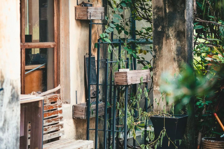 Sanya: Nanshan Scenic Area & Yazhou Ancient City Tour Guide for other languages