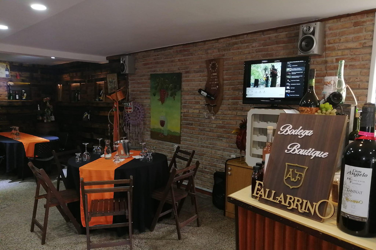 Montevideo: Tour of a century-old urban winery and tasting of 6 wines