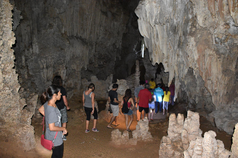 Från Krabi: Kryssning vid sjön Cheow Lan och djungelvandring i Khao Sok