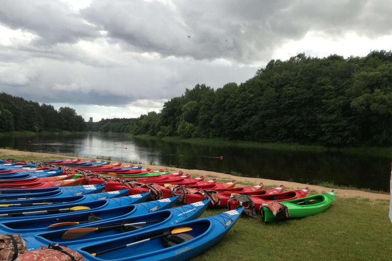 Vilnius: Kayak Rental on Neris River with City Views