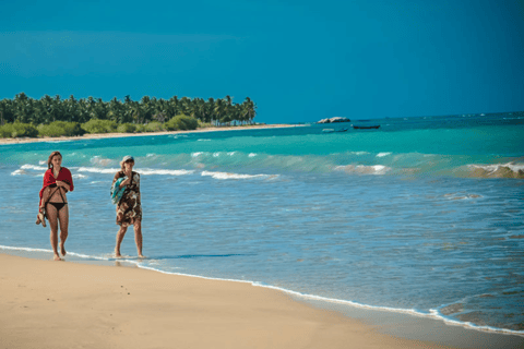 Sigiriya to Pasikudah 2-Day Beach Escape | Kandy/Ella Drop