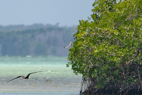From Uvero Alto: Classic Catamaran Cruise to Saona Island