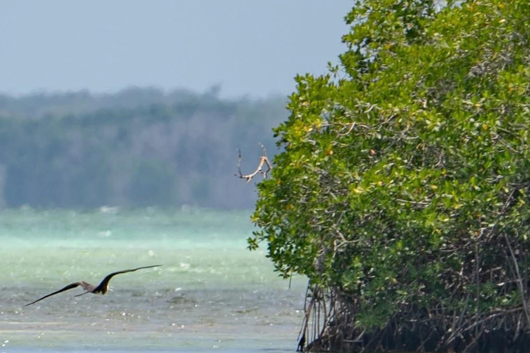 From Uvero Alto: Classic Catamaran Cruise to Saona Island