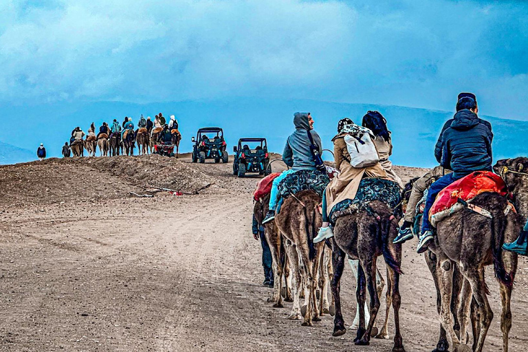 Marrakech: Agafay woestijn Quad &amp; kamelenritten met dinnershow