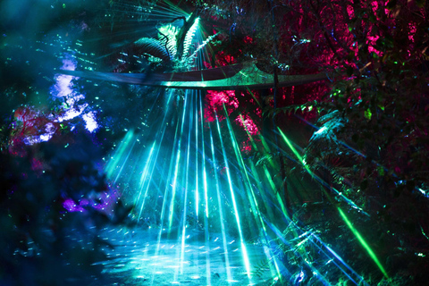 Mārama: Geyser Light Trail Entry Ticket