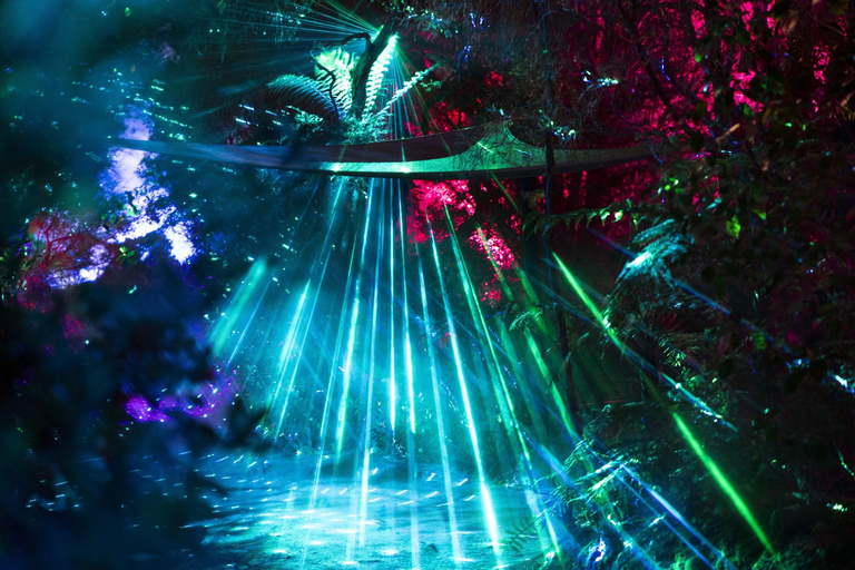 Mārama: Geyser Light Trail Entry Ticket