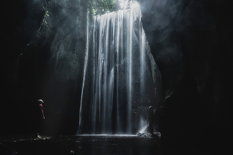 Bali: Excursão de 1 dia aos destaques do InstagramTour particular