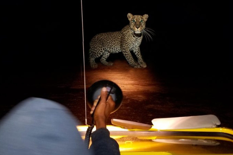 3 Days Akagera Safari – Big Five Game Drives & Boat Ride .