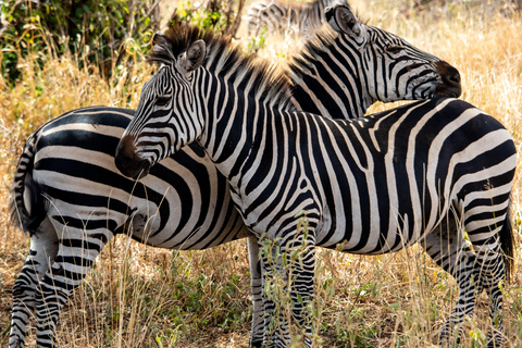 8-Day Zambia and Zimbabwe Safari Tour with Transfers