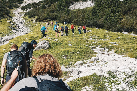 Excursión de 2 días al Parque de los Humedales de Isimangaliso y Hluhluwe desde Durban