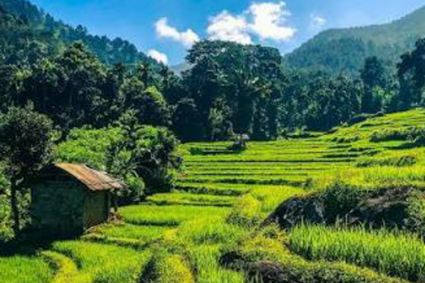 Kandy: Pinnawala, Ambuluwawa, and Village Tour