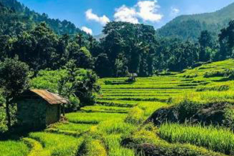 Kandy: Pinnawala, Ambuluwawa, and Village Tour