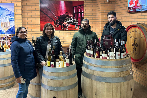 Tour della città di Astana: Guida privata certificata+pranzo+degustazione di vino