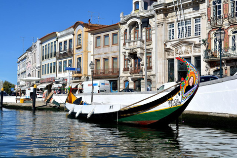 From Porto: Aveiro and Costa Nova Half-Day Tour with Cruise