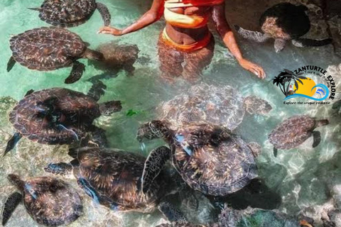 Zanzibar: Simma, snorkla och mata sköldpaddor på Baraka-akvarietHotelltransfer var som helst i Zanzibar